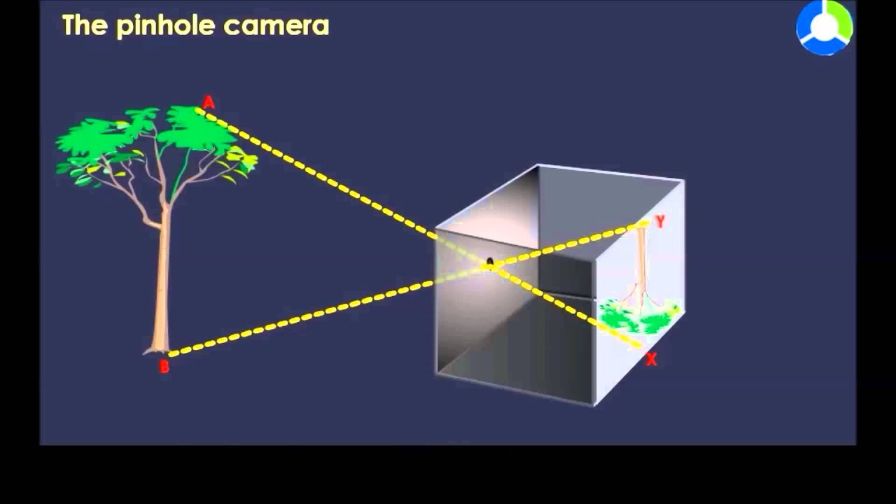 pinhole film camera